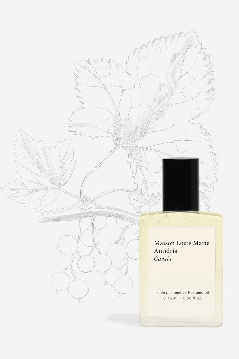 Antidris Cassis Perfume Oil - Maison Louis Marie - 15ml